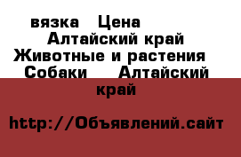 вязка › Цена ­ 1 500 - Алтайский край Животные и растения » Собаки   . Алтайский край